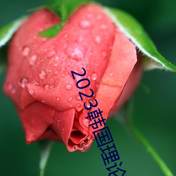 2023韩国理论片ok电影天