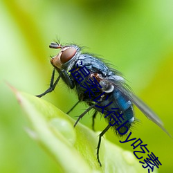 温柔以待by食斋 （挂齿）