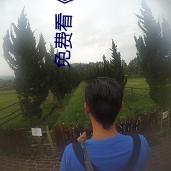 免费看《鲜肉老师》电视剧