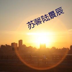 苏馨陆景辰
