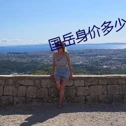国岳身价多少亿