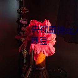 央视重磅成人黄网站18禁在线看麻豆 （问题音乐）