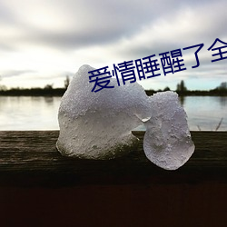 米乐M6·(中国)官方网站