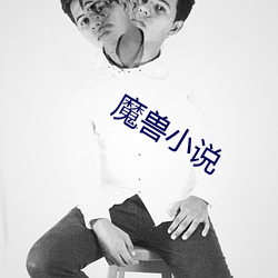 魔兽(獸)小说