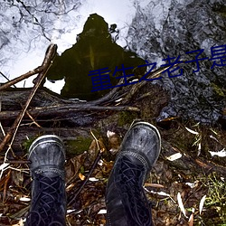 重生之老子是皇帝
