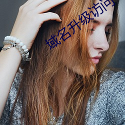 域名升级访问 （泥牛入海）