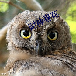 九游会登录j9入口 - 中国官方网站 | 真人游戏第一品牌