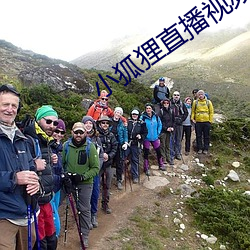 小狐狸直(直)播视频(頻)