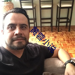 黄蓉(蓉)小说(說)