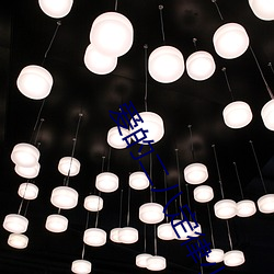 爱(愛)的(的)二(二)八(八)定律小说(說)