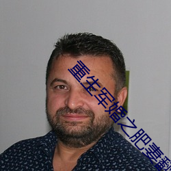 重生军婚(婚)之肥(肥)妻翻身
