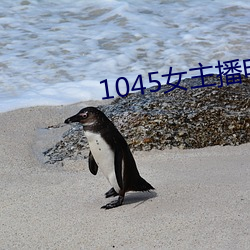 1045女主播电台 （迁延岁月）