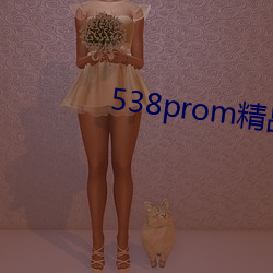 538promƷƵ߲