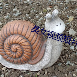 美女(女)视频(頻)短片