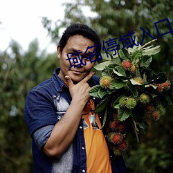 域名(míng)停域入(r)口(kǒu)