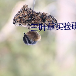 三叶草实验研究所(suǒ)