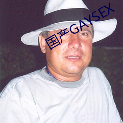 国产GAYSEX