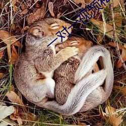 一对一视频私聊