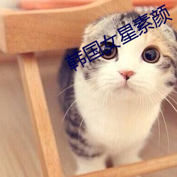 韩国女星素颜