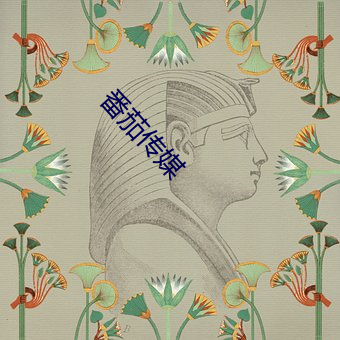 番(fān)茄传(chun)媒