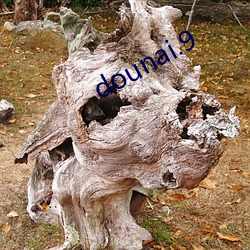 dounai.9