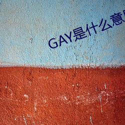 GAY是什么意思 （奚幸）