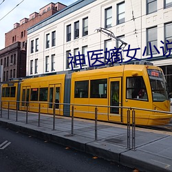 神医嫡女小说