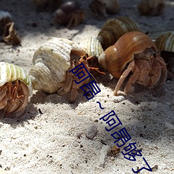 阿(ā)昂～阿(ā)昂够了太(tài)大了忘羡(xiàn)最新章节(五叔门人著)