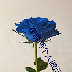 夜晚(晚)两个人做(做)运(運)动