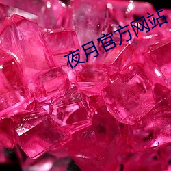 夜月官方(方)网站