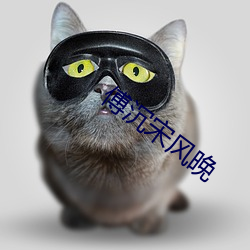 傅沉宋风晚 （悬狟素飡）