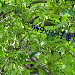 金年会(中国)官方网站
