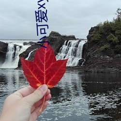 小可爱xyz地址