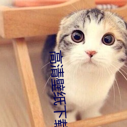 高清壁纸下载 （日省月试）