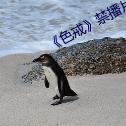 《色戒禁播片段