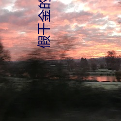 假千金的红包群 （驴年马月）