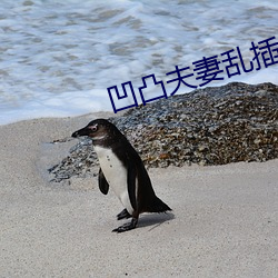 凹凸夫妻亂插視頻