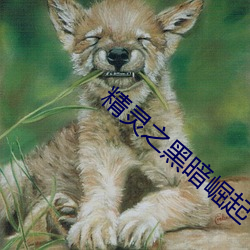 精灵之黑暗(暗)崛起