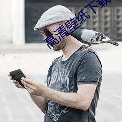高清壁纸(紙)下载(載)