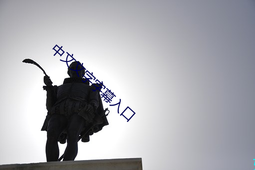 中文文字字幕入口