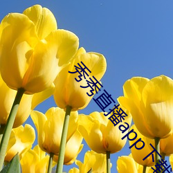 秀秀直播app下載安裝