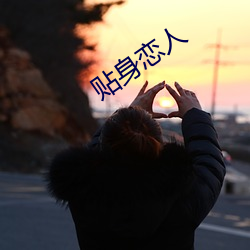 贴身恋人 （负险不宾