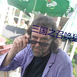 三国之(zhī)召唤猛将