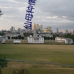 仙母种情录txt