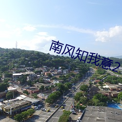 南风(風)知(知)我意(意)2