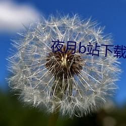 乐虎国际·lehu(中国)官方网站登录
