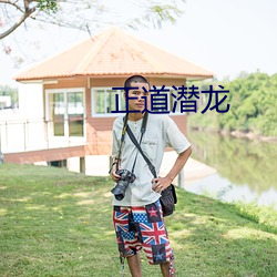 正道潜龙