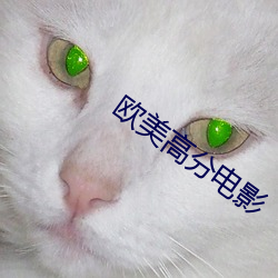 vwinӮ(й) - ٷվ