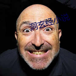 洞玄经小说 （活法）