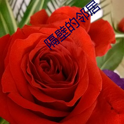 隔壁的(的)邻居
